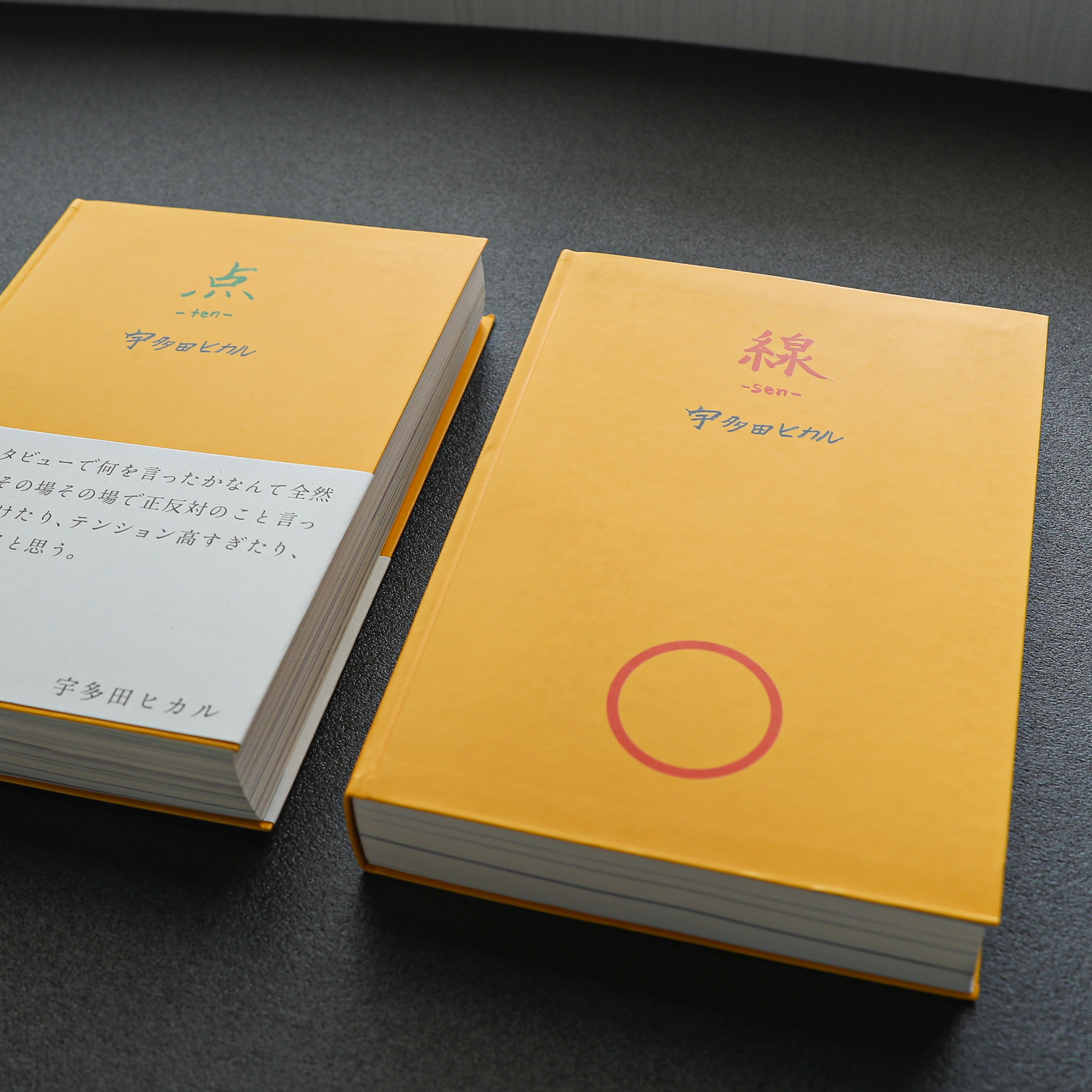 宇多田ヒカル　点 ~ten~と線~sen~二冊セット 点 -ten- 線 -sen- 全2冊揃 宇多田ヒカル | 古本よみた屋